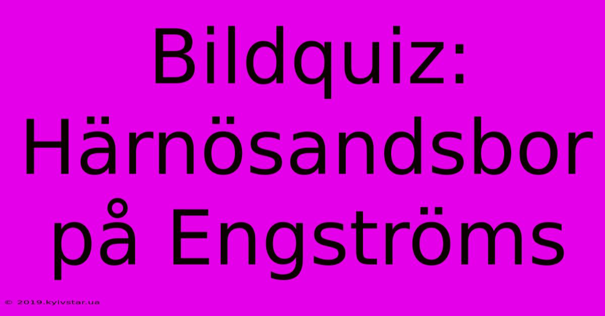 Bildquiz: Härnösandsbor På Engströms