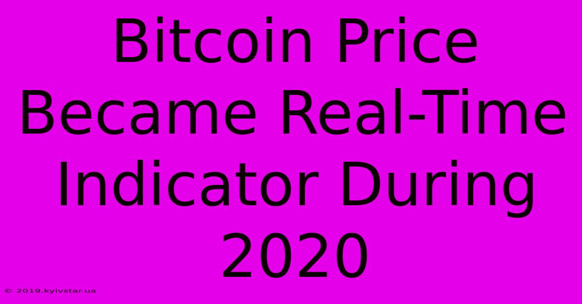 Bitcoin Price Became Real-Time Indicator During 2020 