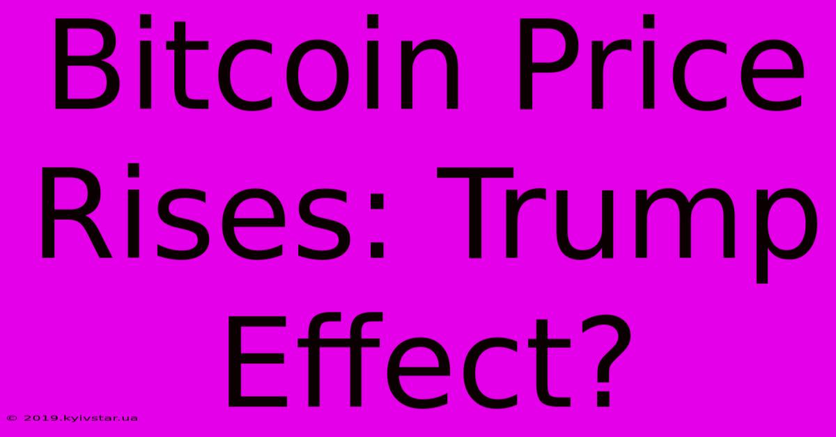 Bitcoin Price Rises: Trump Effect? 