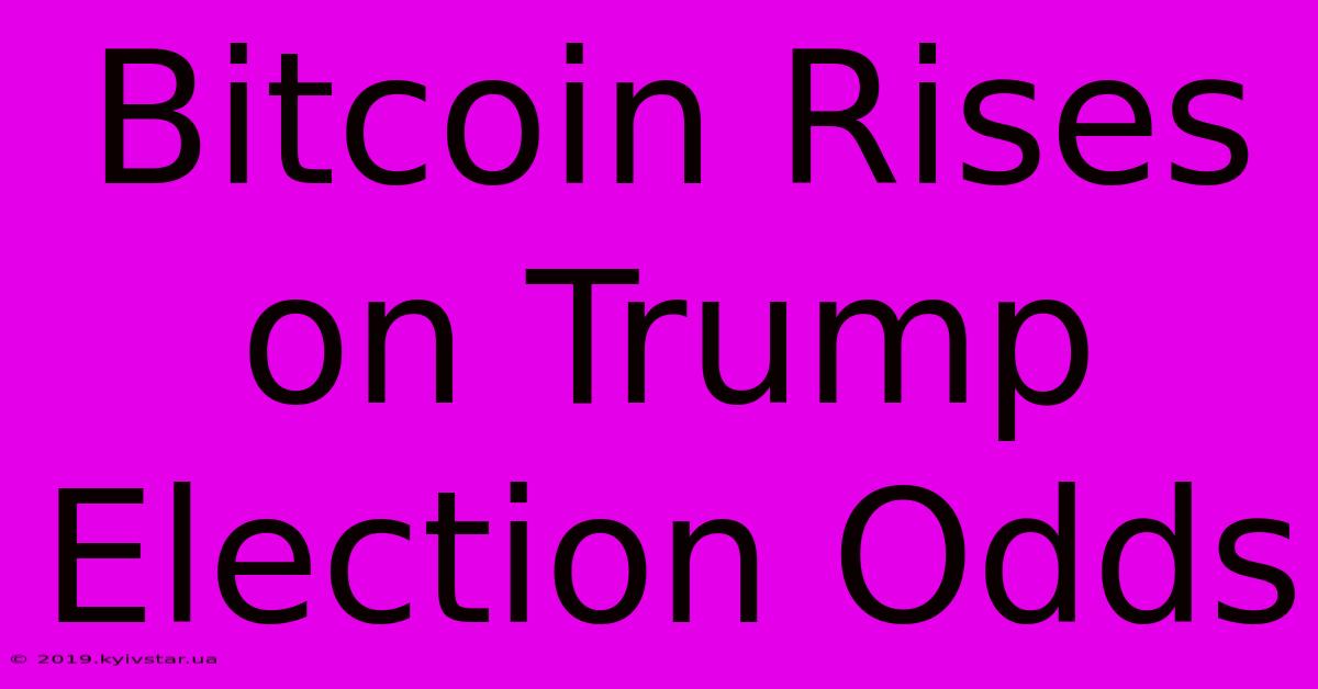 Bitcoin Rises On Trump Election Odds