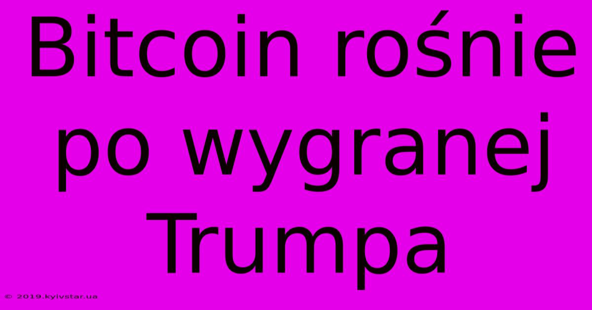 Bitcoin Rośnie Po Wygranej Trumpa