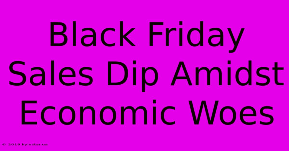 Black Friday Sales Dip Amidst Economic Woes