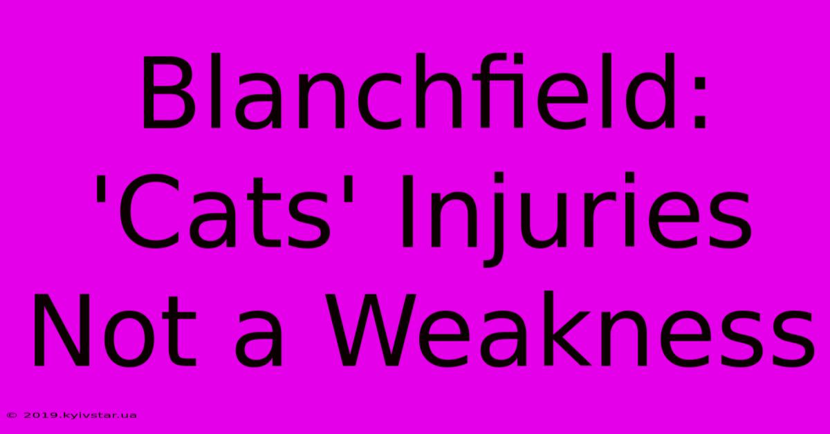 Blanchfield: 'Cats' Injuries Not A Weakness 