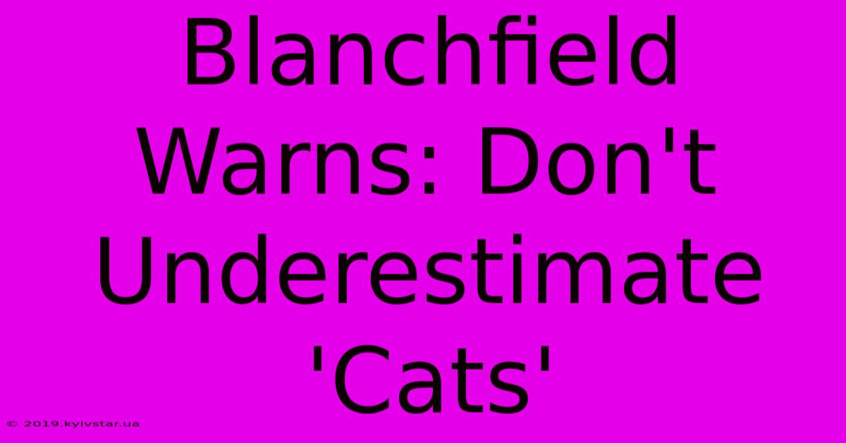 Blanchfield Warns: Don't Underestimate 'Cats'