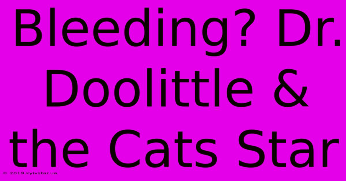 Bleeding? Dr. Doolittle & The Cats Star