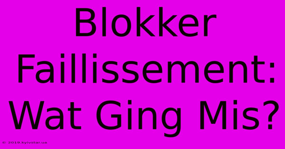 Blokker Faillissement: Wat Ging Mis?