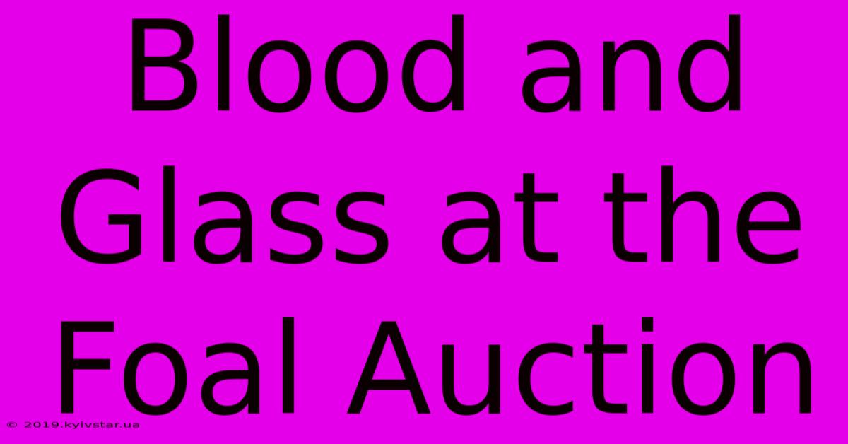 Blood And Glass At The Foal Auction