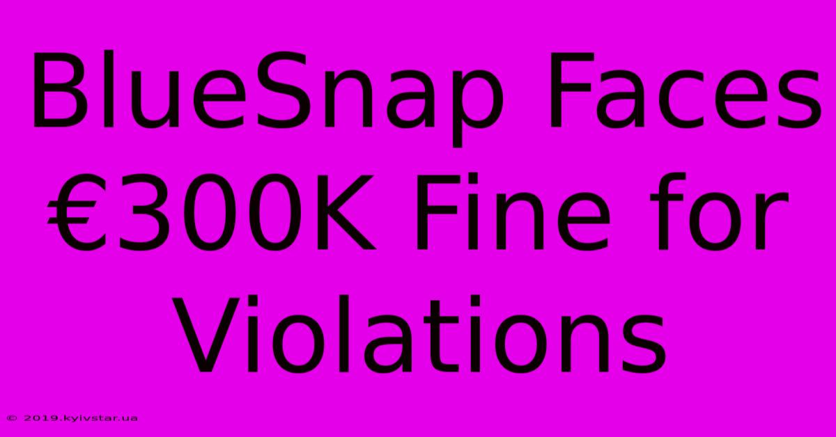 BlueSnap Faces €300K Fine For Violations