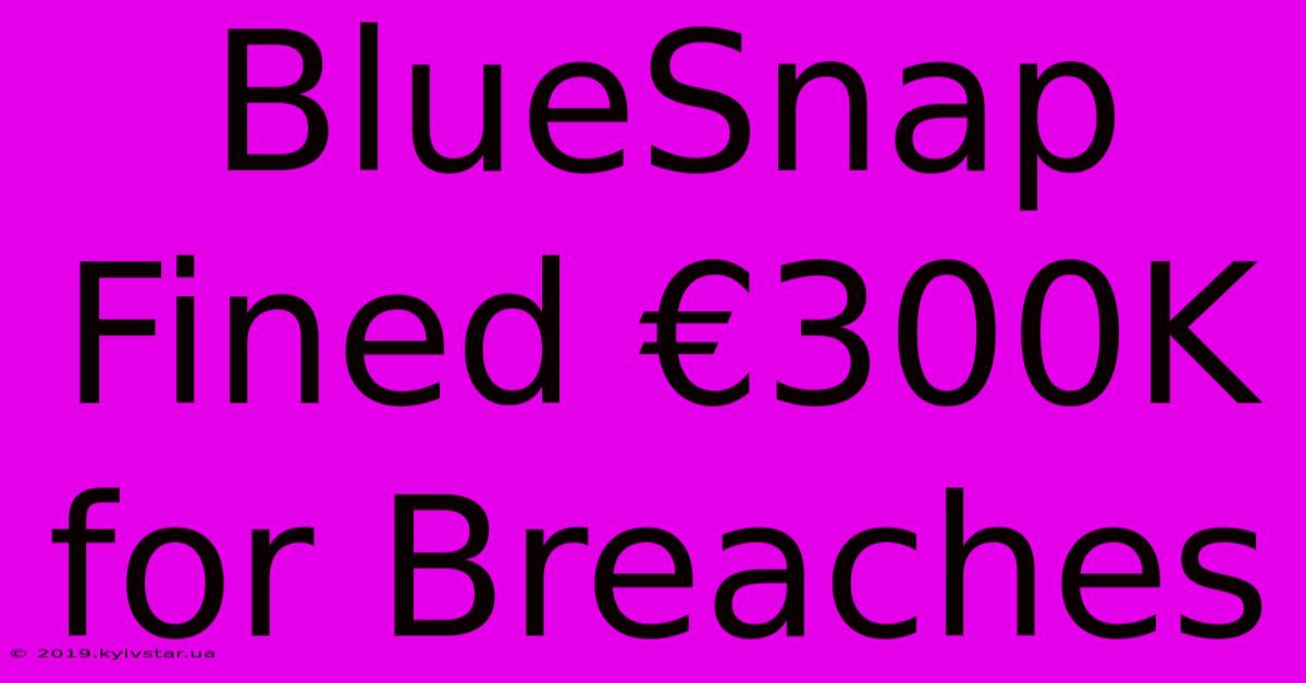 BlueSnap Fined €300K For Breaches