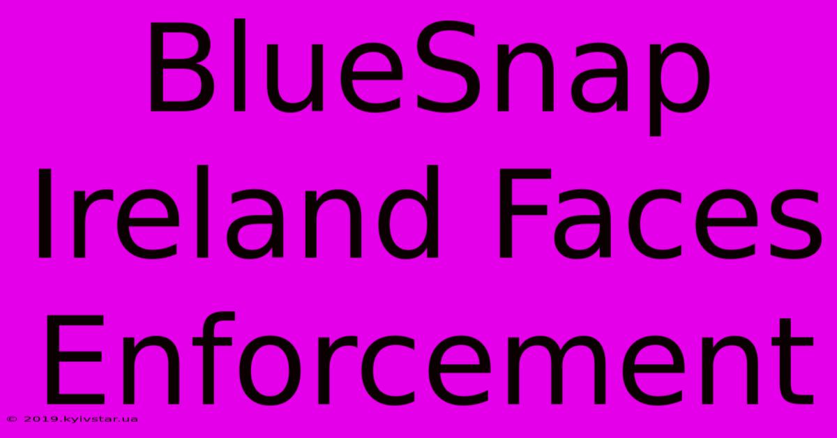 BlueSnap Ireland Faces Enforcement