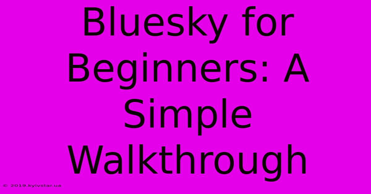 Bluesky For Beginners: A Simple Walkthrough 