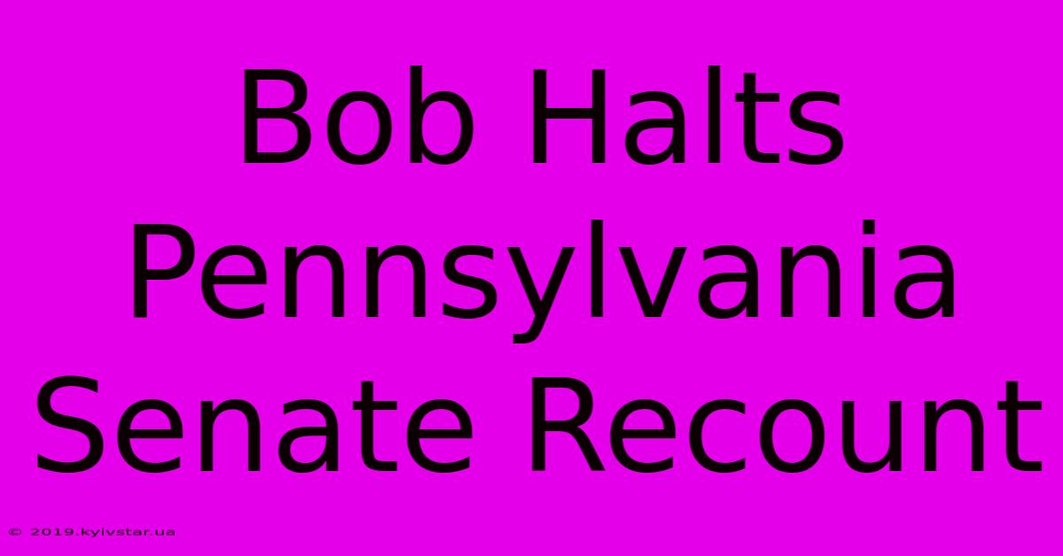 Bob Halts Pennsylvania Senate Recount