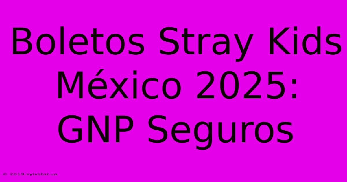 Boletos Stray Kids México 2025: GNP Seguros