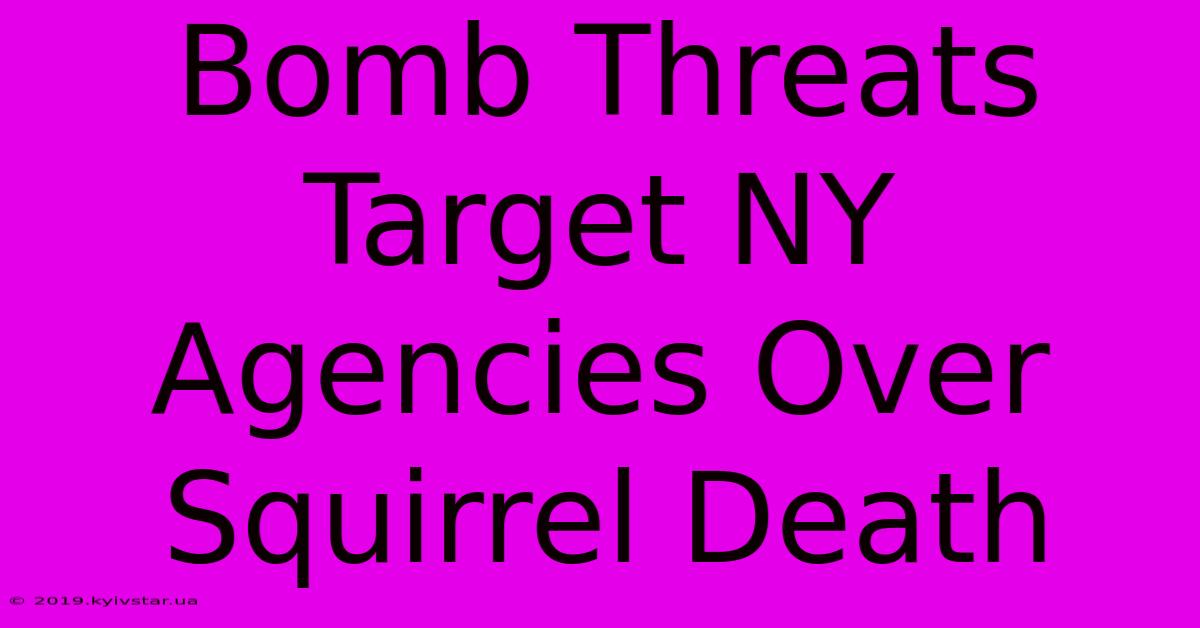 Bomb Threats Target NY Agencies Over Squirrel Death