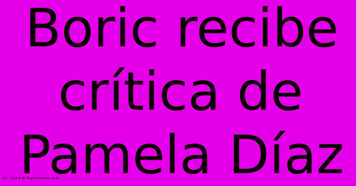 Boric Recibe Crítica De Pamela Díaz