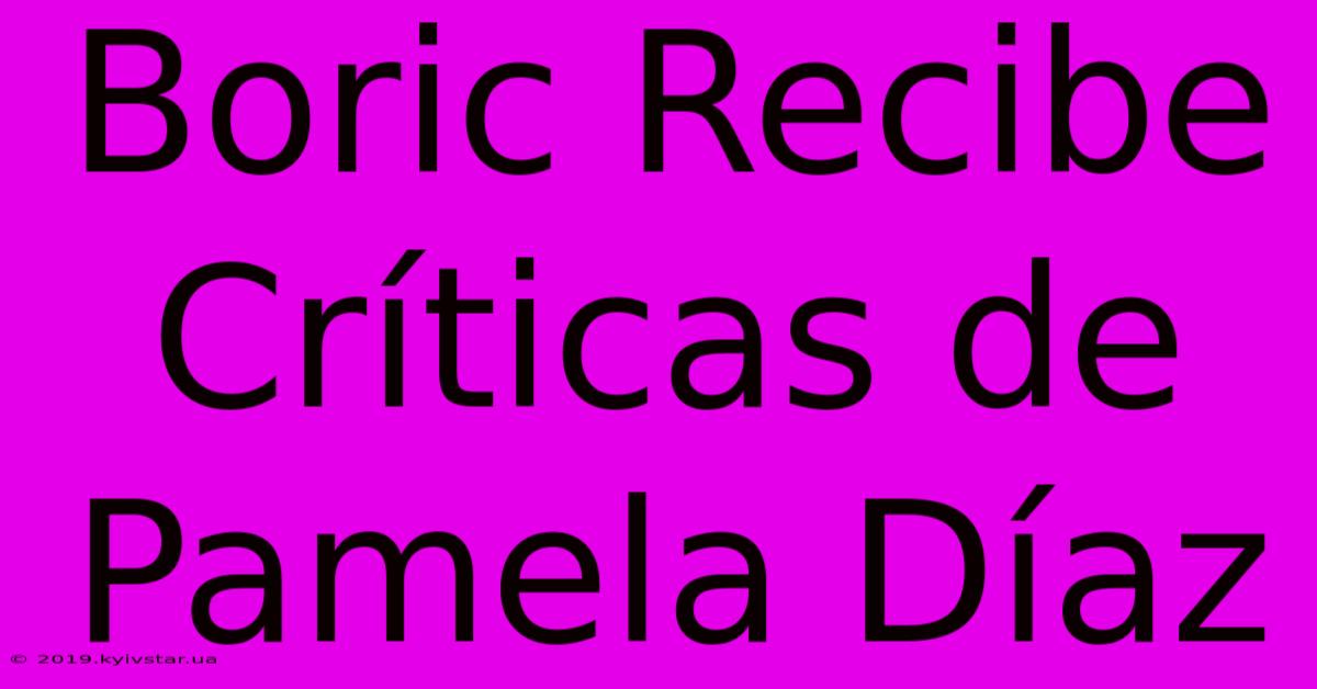 Boric Recibe Críticas De Pamela Díaz