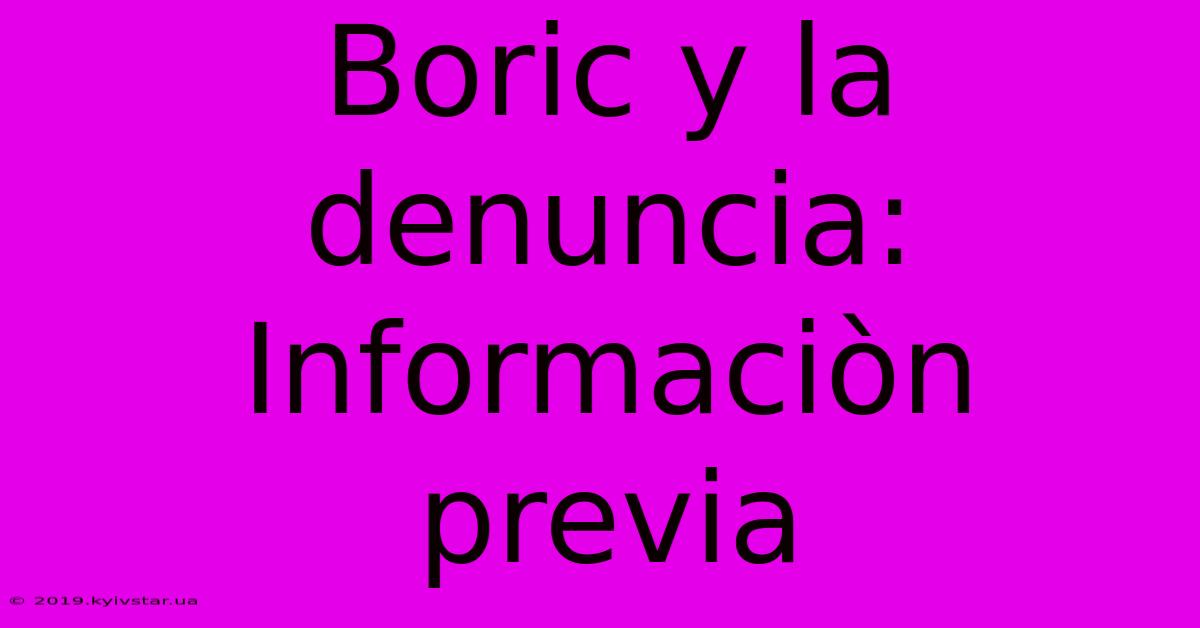 Boric Y La Denuncia: Informaciòn Previa