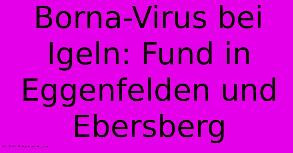 Borna-Virus Bei Igeln: Fund In Eggenfelden Und Ebersberg