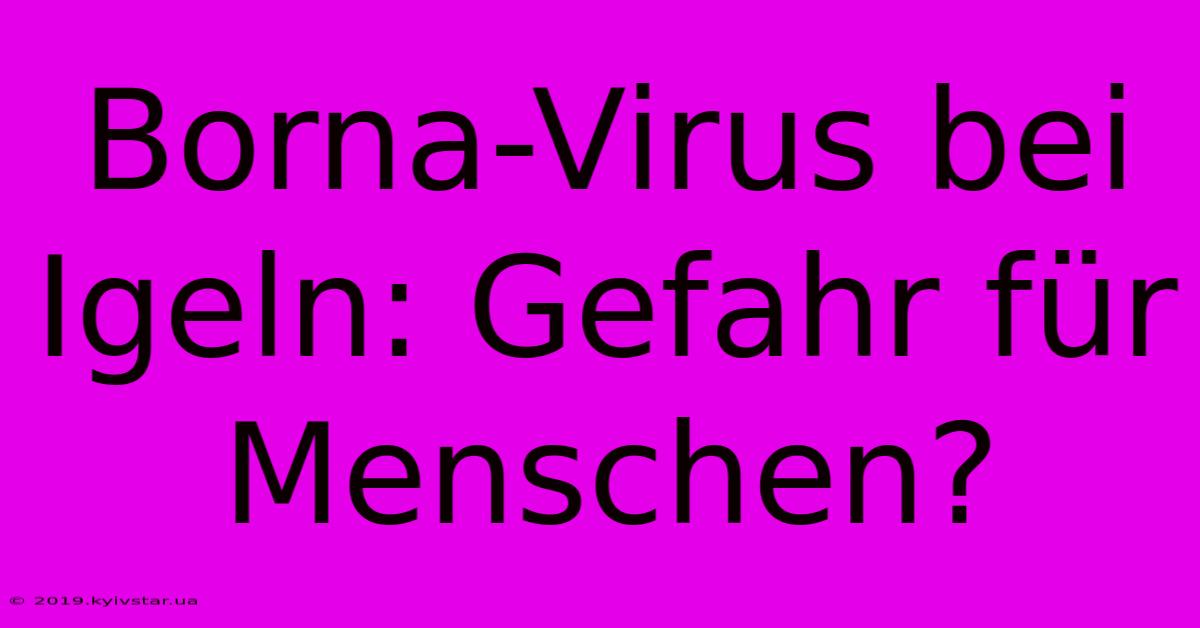 Borna-Virus Bei Igeln: Gefahr Für Menschen?