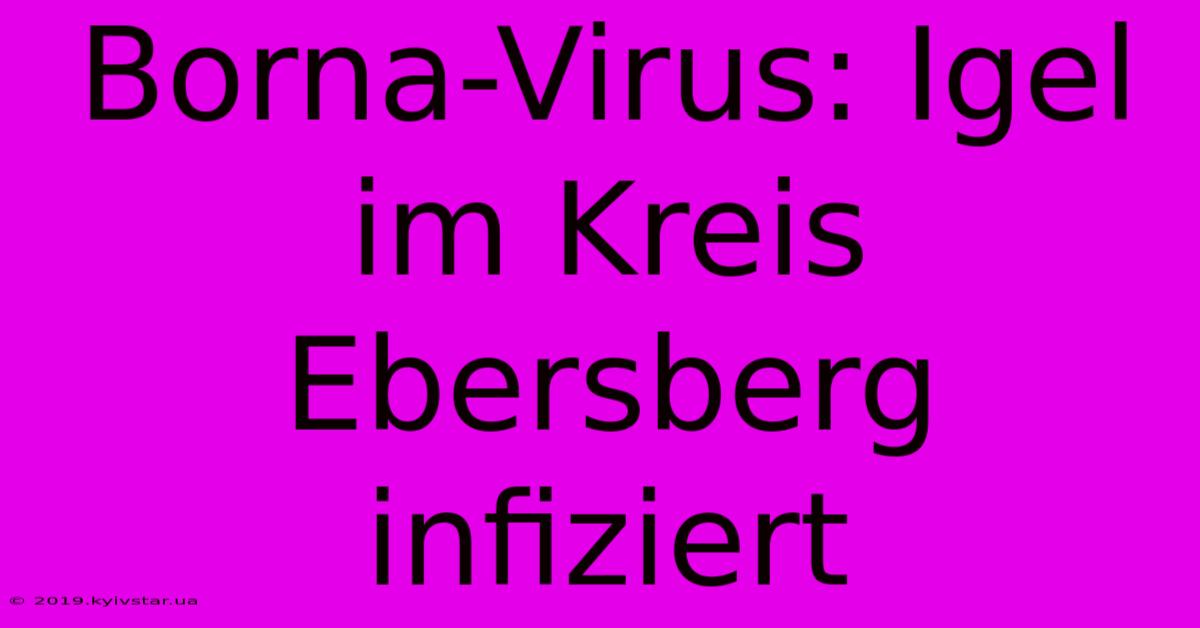 Borna-Virus: Igel Im Kreis Ebersberg Infiziert