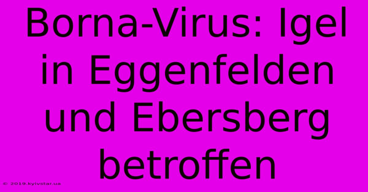 Borna-Virus: Igel In Eggenfelden Und Ebersberg Betroffen 