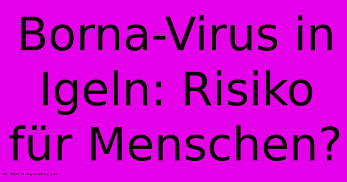 Borna-Virus In Igeln: Risiko Für Menschen?