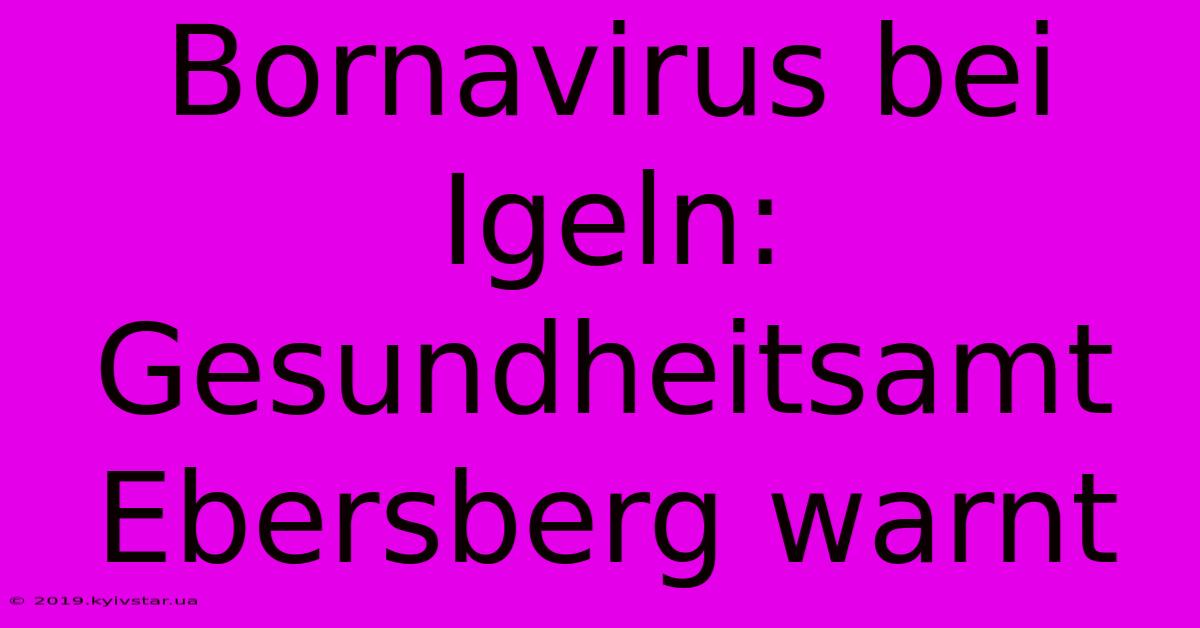 Bornavirus Bei Igeln: Gesundheitsamt Ebersberg Warnt