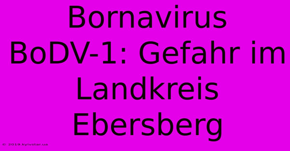 Bornavirus BoDV-1: Gefahr Im Landkreis Ebersberg