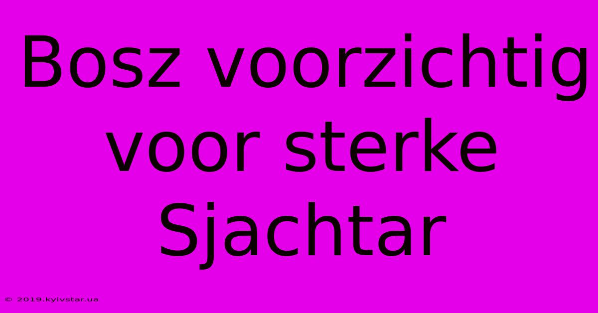 Bosz Voorzichtig Voor Sterke Sjachtar