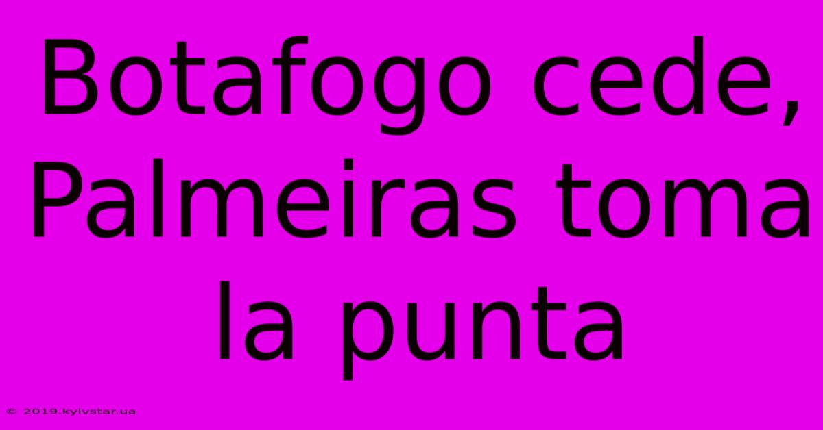 Botafogo Cede, Palmeiras Toma La Punta