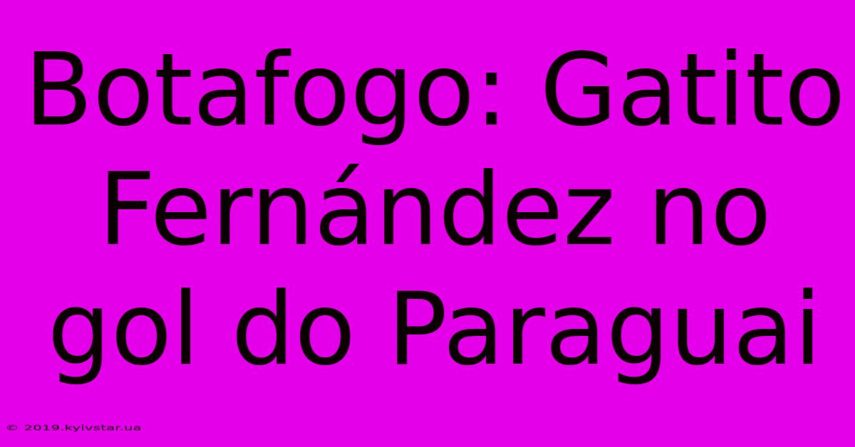 Botafogo: Gatito Fernández No Gol Do Paraguai