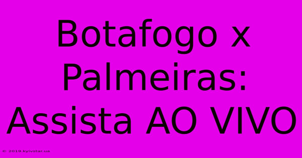 Botafogo X Palmeiras: Assista AO VIVO