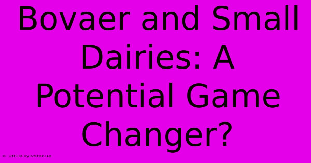 Bovaer And Small Dairies: A Potential Game Changer?