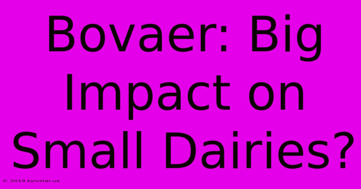 Bovaer: Big Impact On Small Dairies?