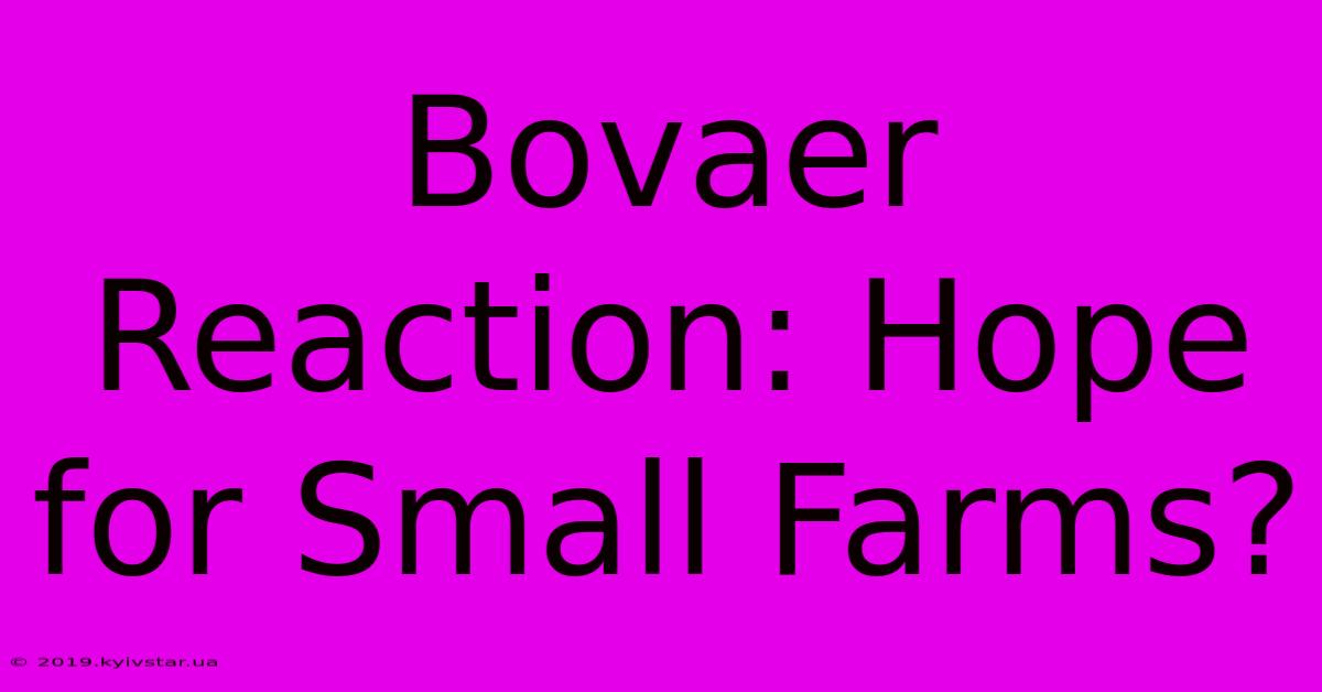 Bovaer Reaction: Hope For Small Farms?