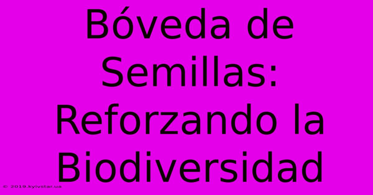 Bóveda De Semillas: Reforzando La Biodiversidad