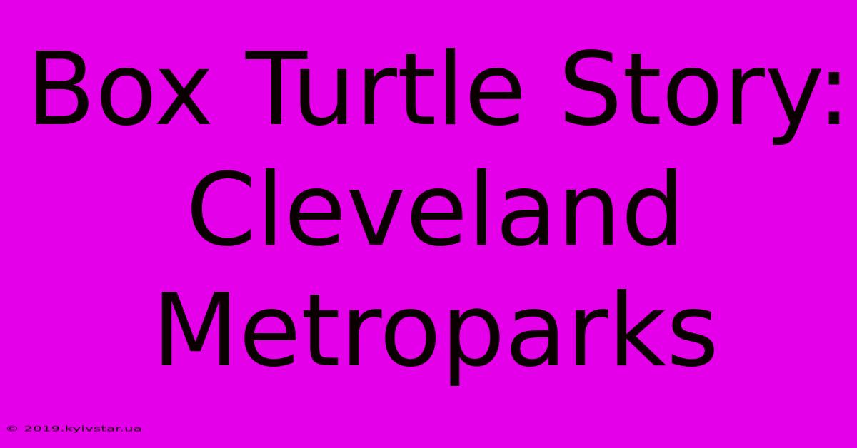 Box Turtle Story: Cleveland Metroparks