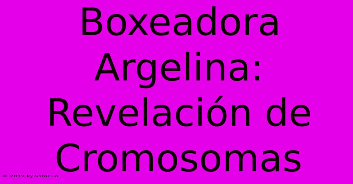 Boxeadora Argelina: Revelación De Cromosomas