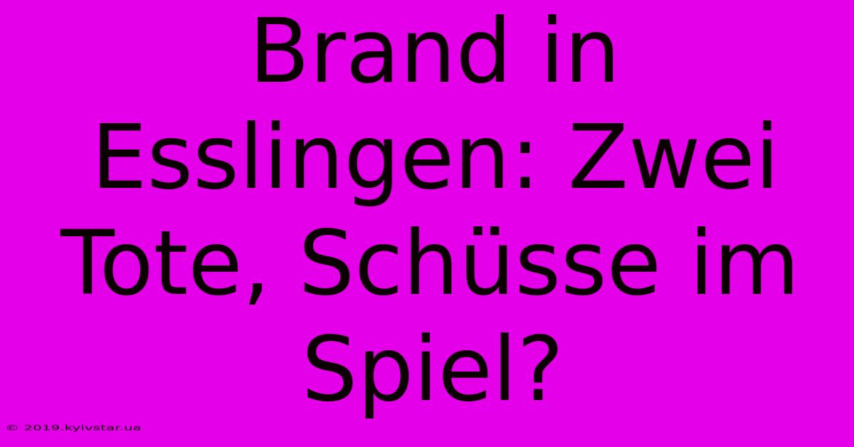 Brand In Esslingen: Zwei Tote, Schüsse Im Spiel? 