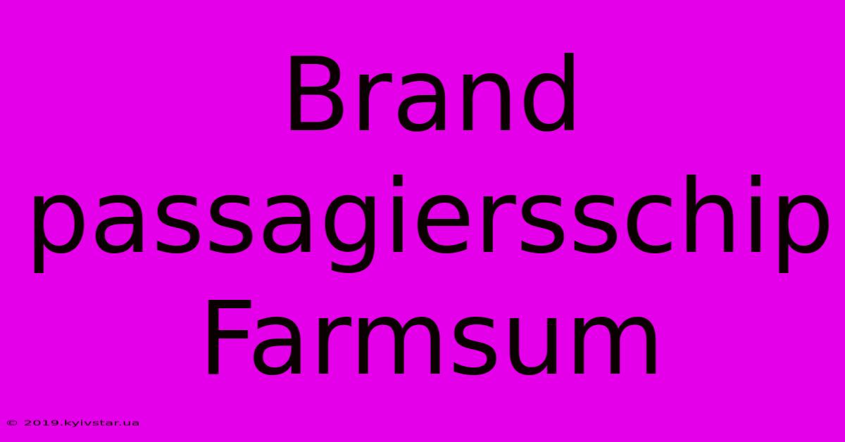 Brand Passagiersschip Farmsum