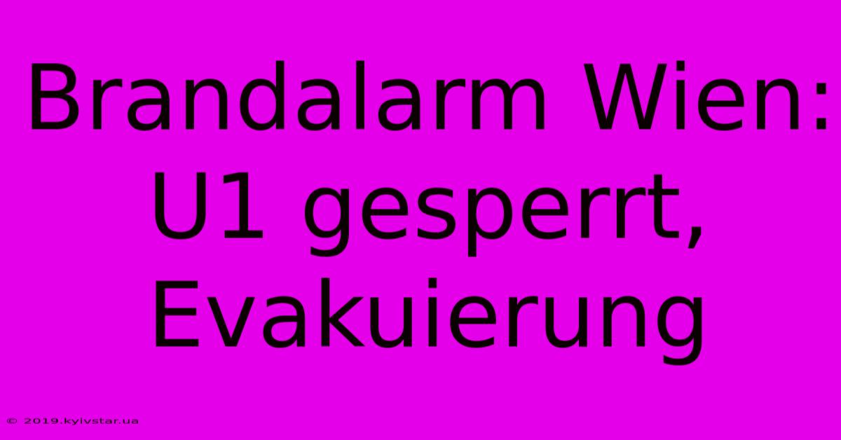 Brandalarm Wien: U1 Gesperrt, Evakuierung