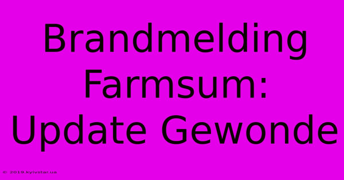 Brandmelding Farmsum: Update Gewonde