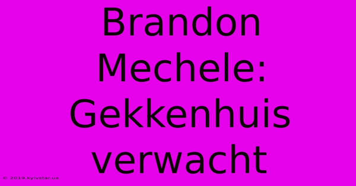 Brandon Mechele: Gekkenhuis Verwacht