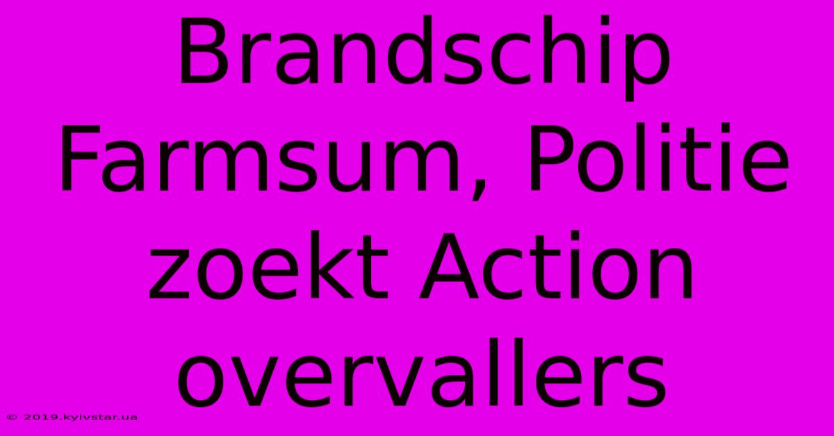 Brandschip Farmsum, Politie Zoekt Action Overvallers