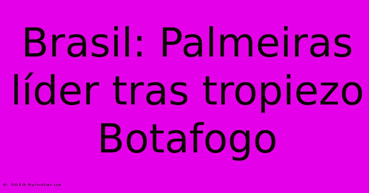 Brasil: Palmeiras Líder Tras Tropiezo Botafogo