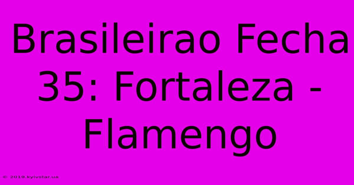 Brasileirao Fecha 35: Fortaleza - Flamengo