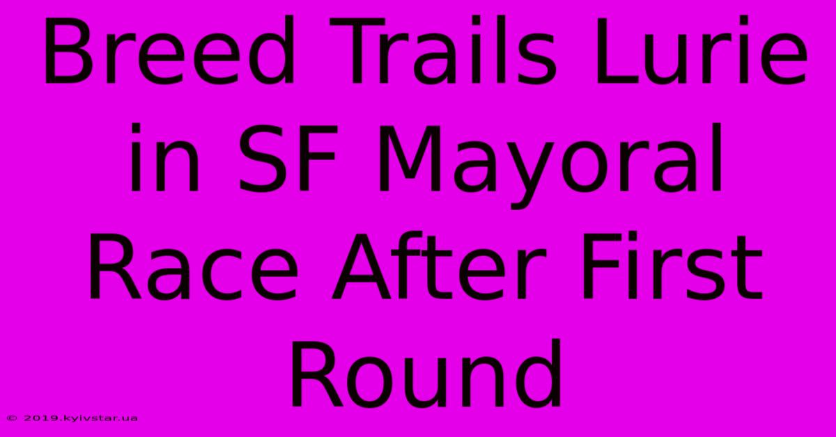 Breed Trails Lurie In SF Mayoral Race After First Round