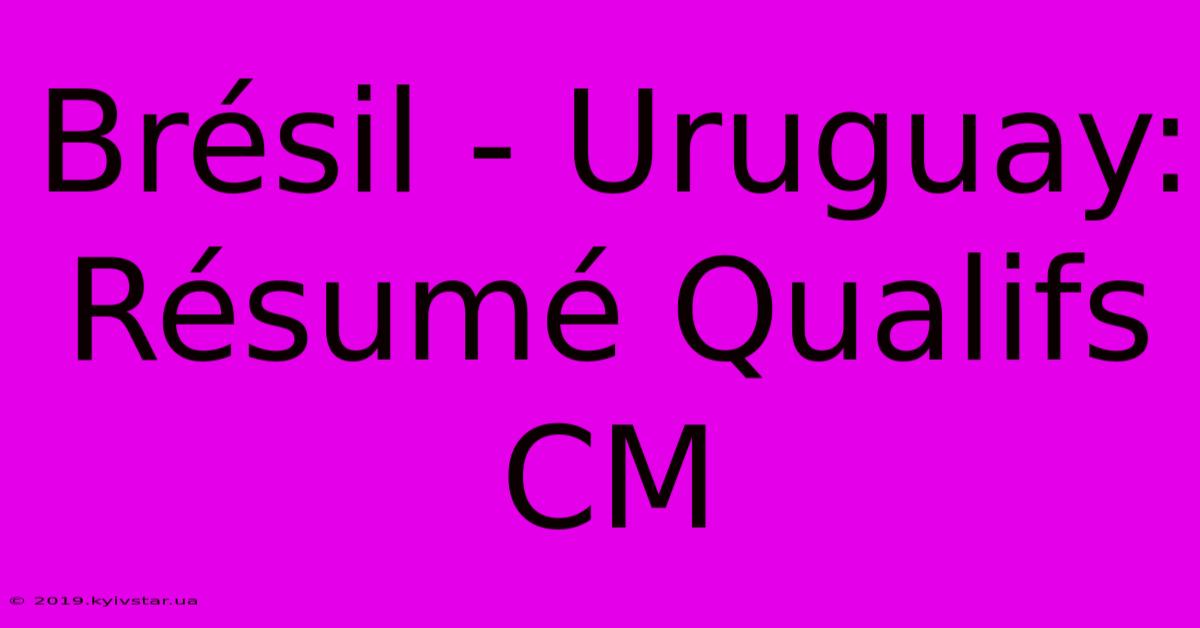 Brésil - Uruguay: Résumé Qualifs CM