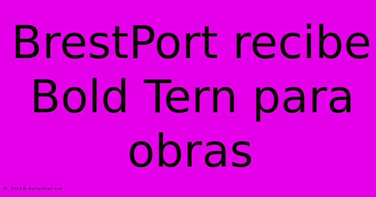 BrestPort Recibe Bold Tern Para Obras