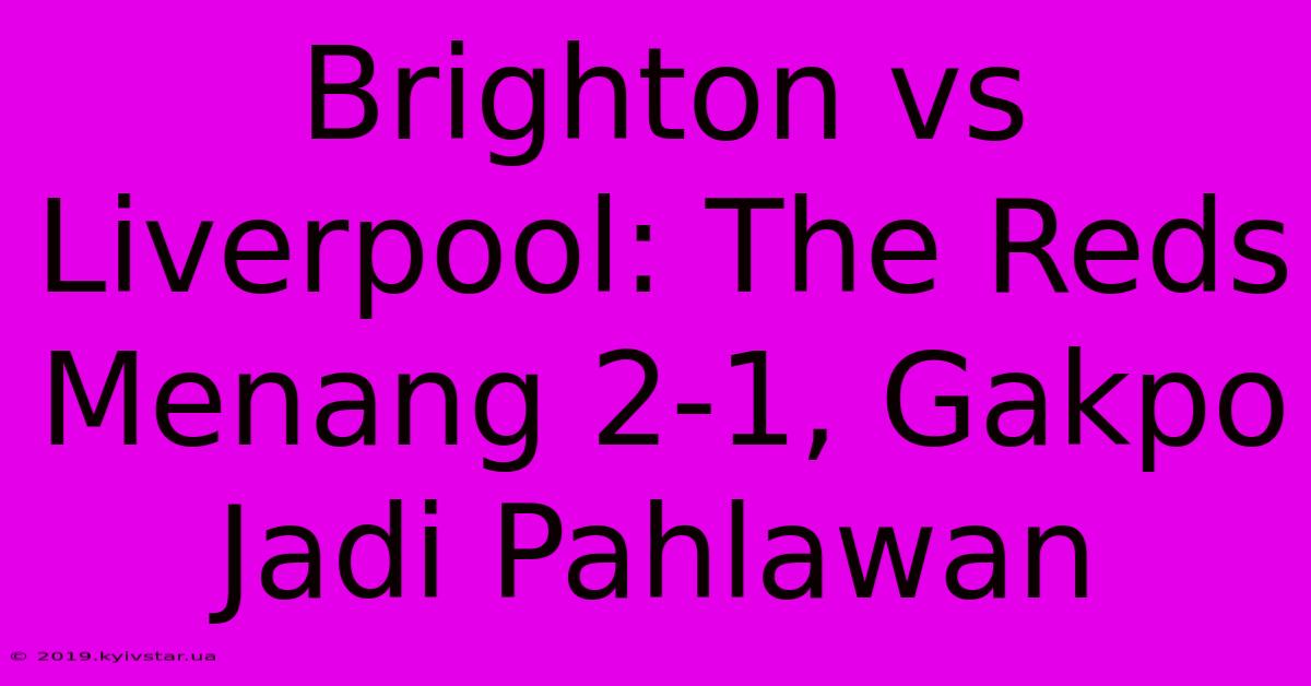 Brighton Vs Liverpool: The Reds Menang 2-1, Gakpo Jadi Pahlawan